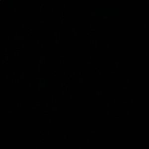 Meet your Posher, Deandre